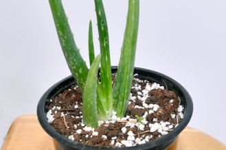 WhatsApp-Image-2026-04-22-at-12.02.17-PM-2