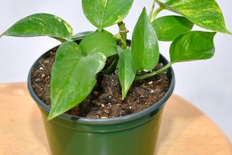 WhatsApp-Image-2026-04-22-at-12.02.17-PM-3