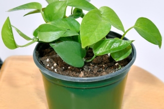 WhatsApp-Image-2026-04-22-at-12.02.17-PM-4