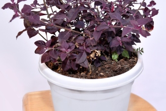 WhatsApp-Image-2026-04-22-at-12.02.18-PM-1