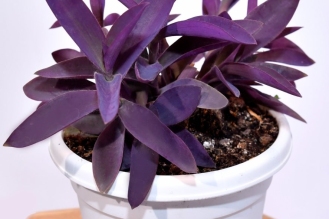 WhatsApp-Image-2026-04-22-at-12.02.18-PM-2