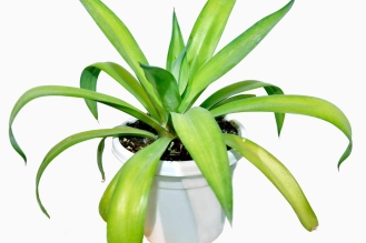 WhatsApp-Image-2026-04-22-at-12.02.18-PM-3