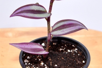 WhatsApp-Image-2026-04-22-at-12.02.18-PM