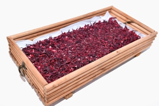 WhatsApp-Image-2026-04-22-at-12.02.19-PM-1